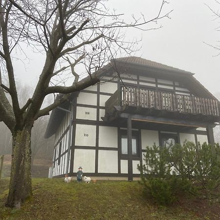 Ferienwohnung Lix Direkt Am Waldrand 프란케나우 외부 사진