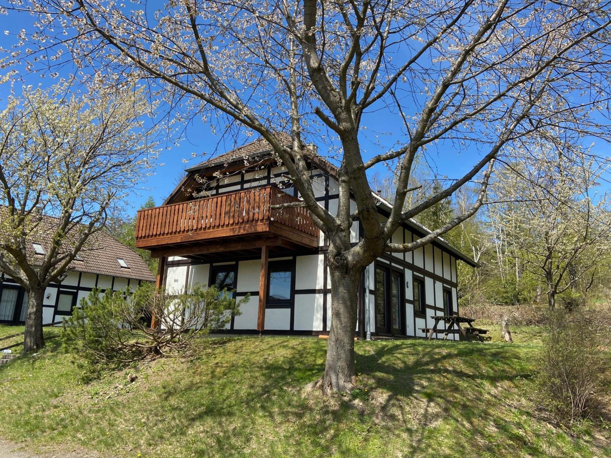 Ferienwohnung Lix Direkt Am Waldrand 프란케나우 외부 사진